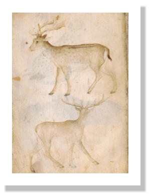 Giovannino de Grassi und Werkstatt Taccuino di disegni 1385/1410 Verschiedene Techniken auf Pergament; 32 Bll.; 205  146 mm (min.), 260  186 mm (max.)  Biblioteca Civica Angelo Mai e Archivi storici