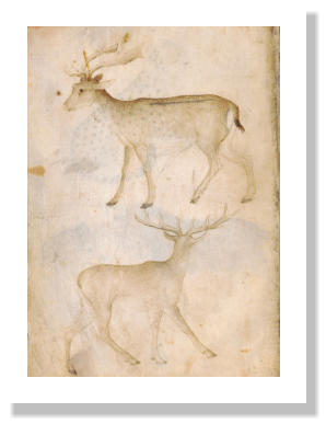 Giovannino de Grassi und Werkstatt Taccuino di disegni 1385/1410 Verschiedene Techniken auf Pergament; 32 Bll.; 205  146 mm (min.), 260  186 mm (max.)  Biblioteca Civica Angelo Mai e Archivi storici